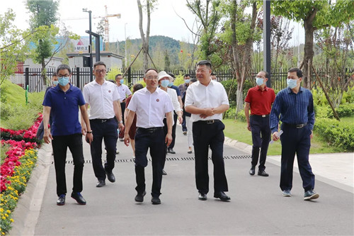 政协调研 | 促进民办教育健康发展