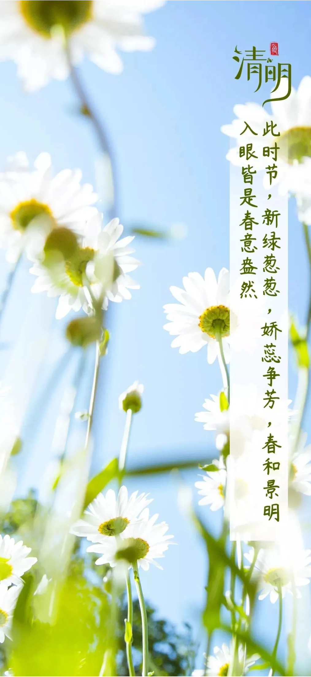 二十四节气｜清明寄思，岁月感怀