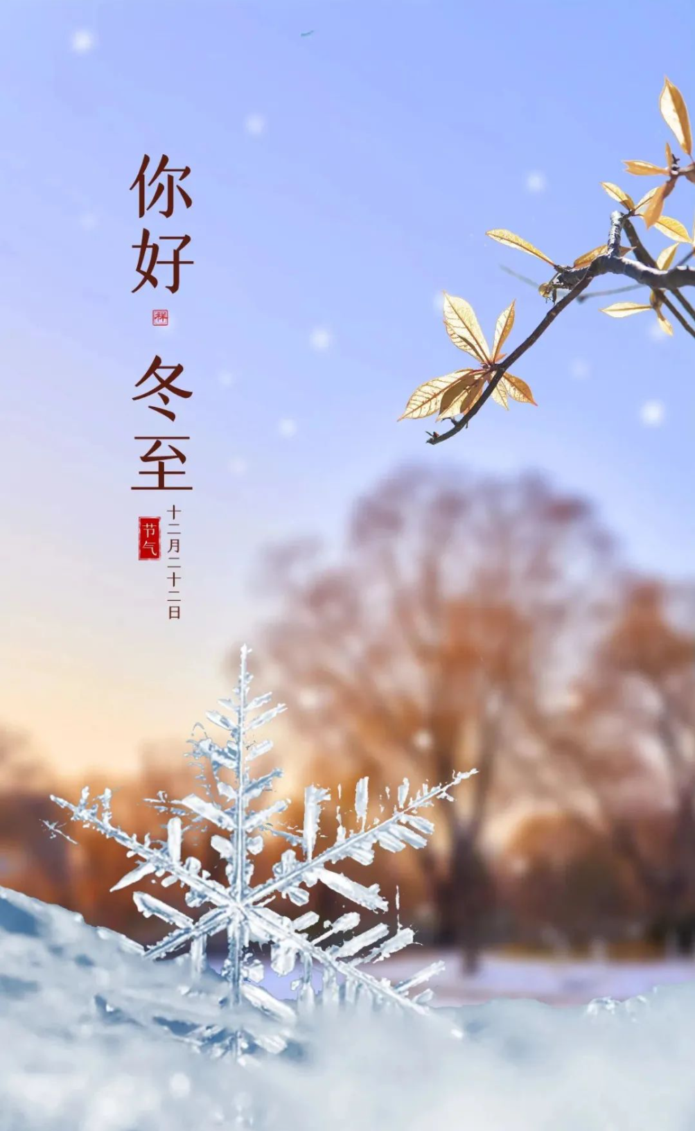 冬至丨心有暖阳，何惧寒夜漫长
