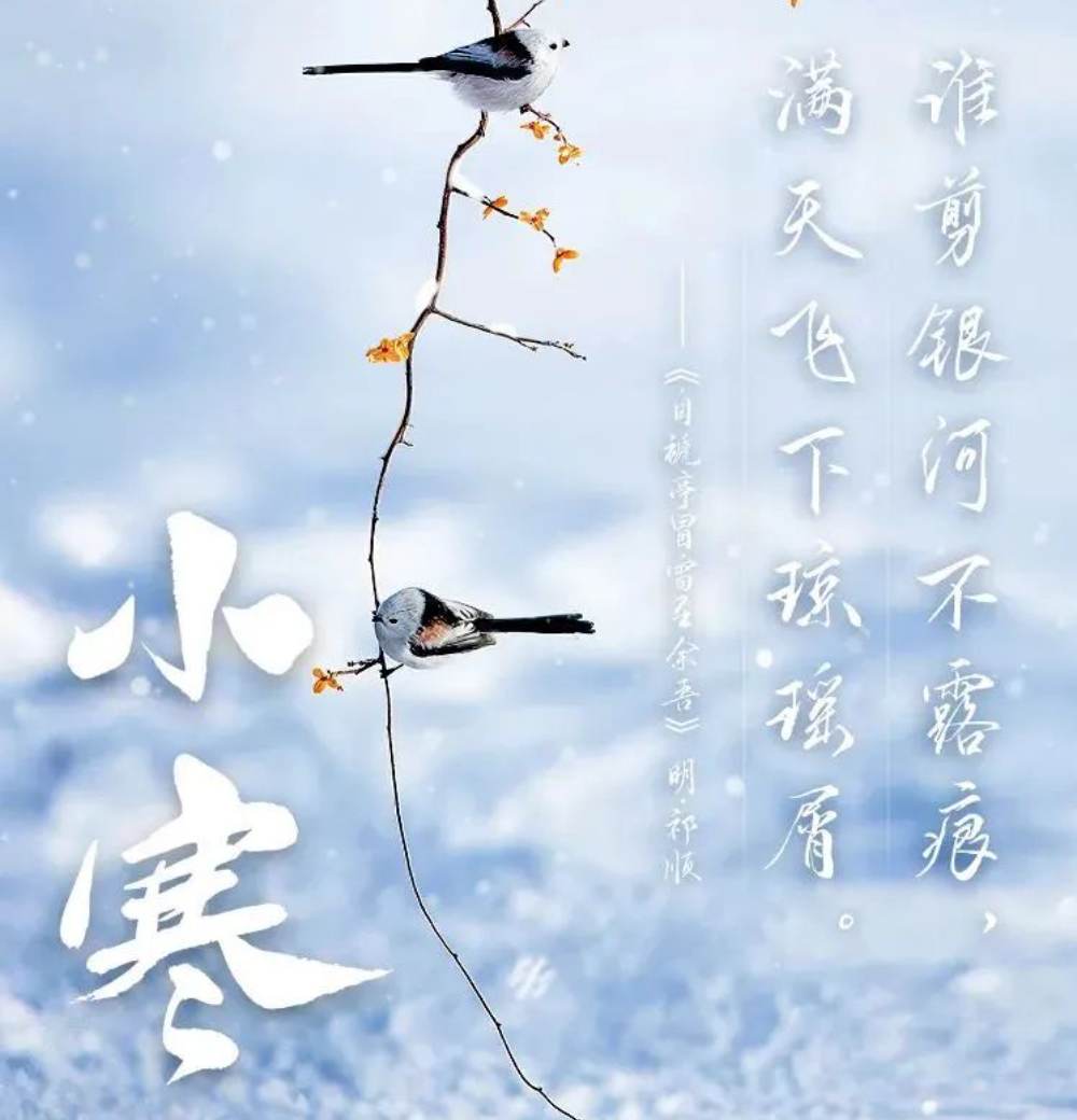 2024年第一个节气，小寒来了！