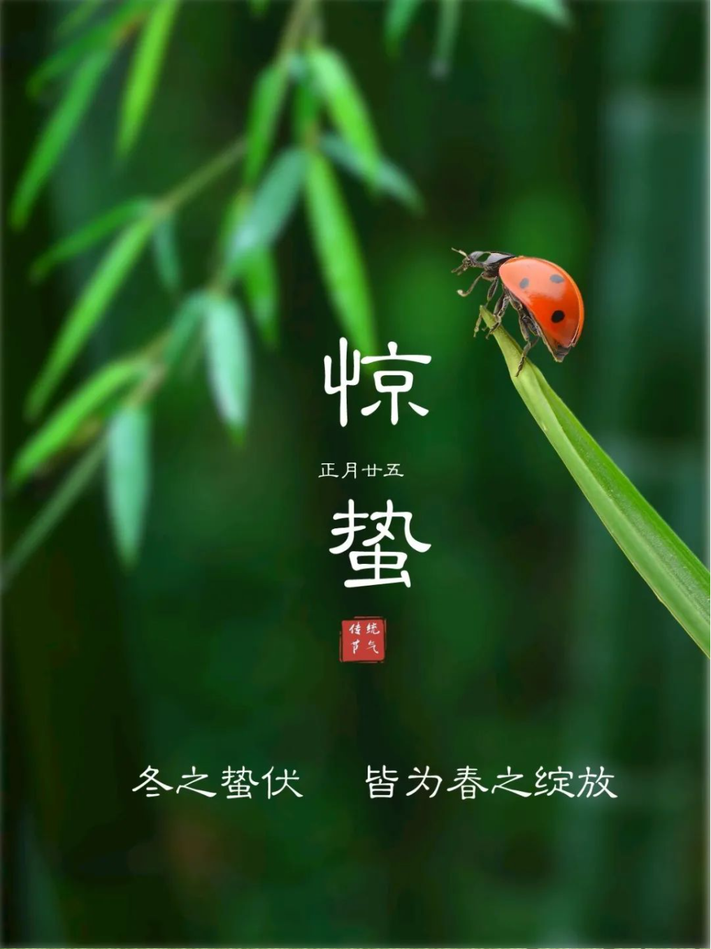 今日惊蛰丨春雷响，万物长