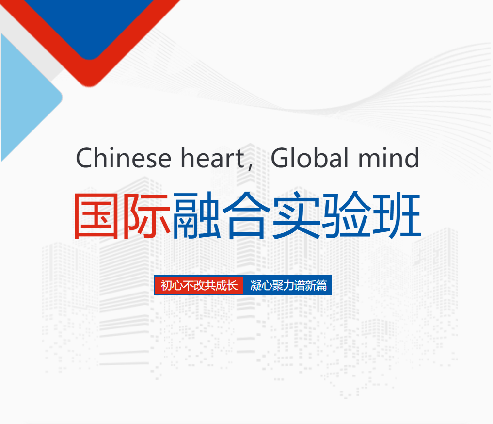 凝心聚力 全力推进国际融合实验班项目建设落地成势