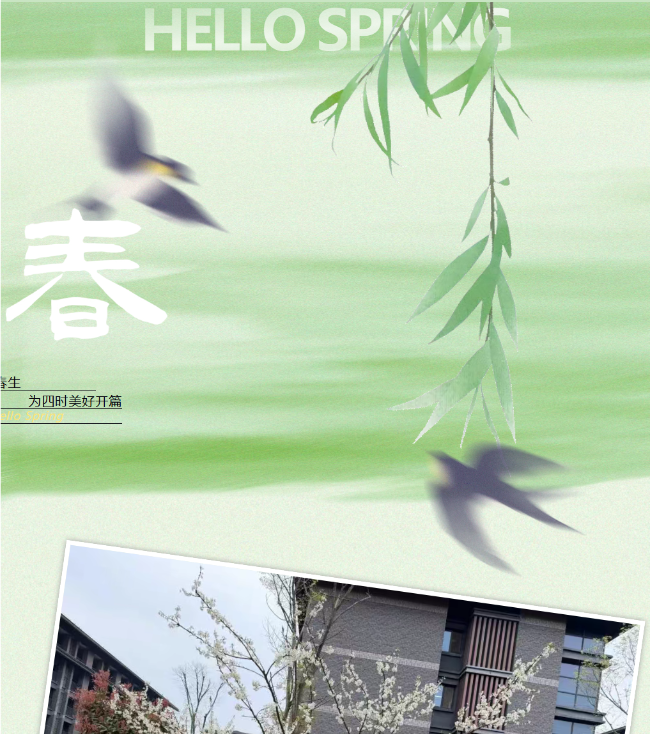 植绿护梦，逐光前行｜德阳成外初三高三共植“青春纪念林”