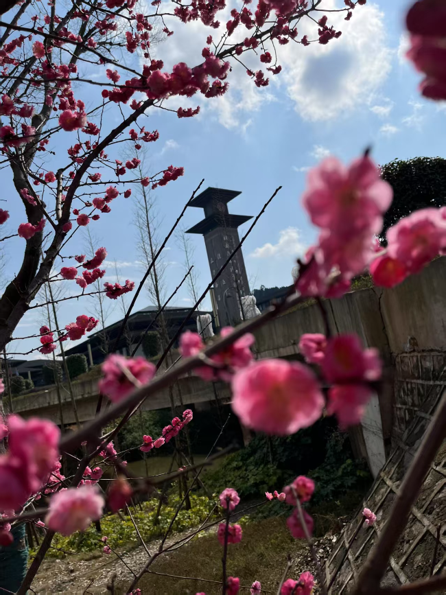 在阳光雨露中，她绽放最美的花朵