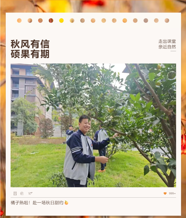 秋撷橘香，劳育润心｜初中部学子采摘丰收硕果，传递校园温情